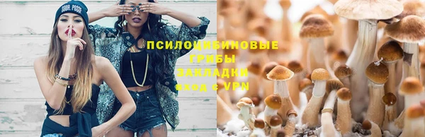 сатива Абаза