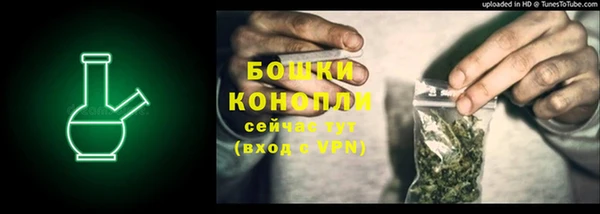 сатива Абаза