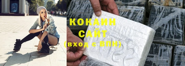 сатива Абаза