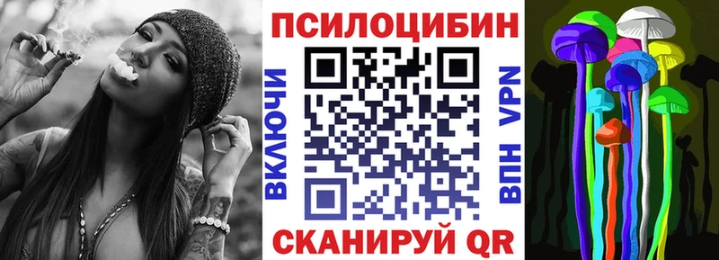 Псилоцибиновые грибы прущие грибы hydra вход Канск
